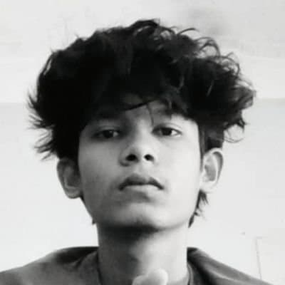 radinislam007x avatar
